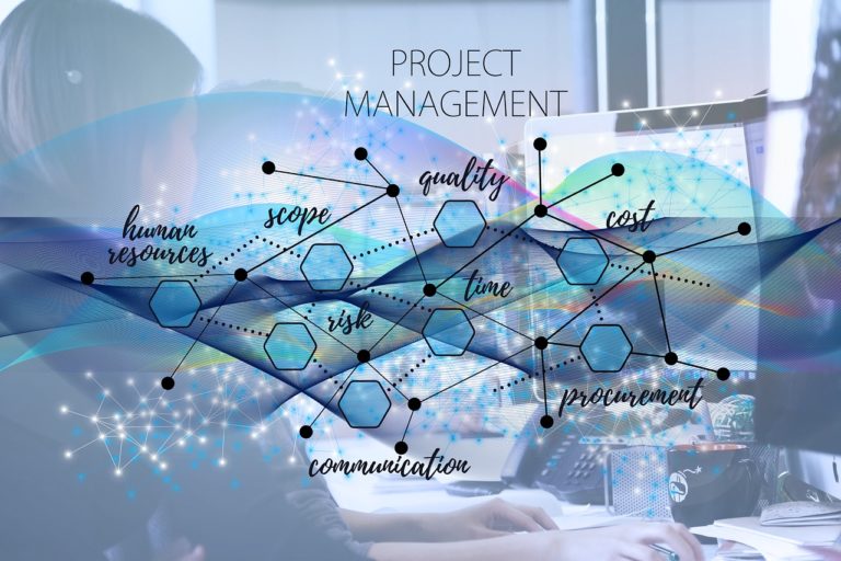 Project Management skills
